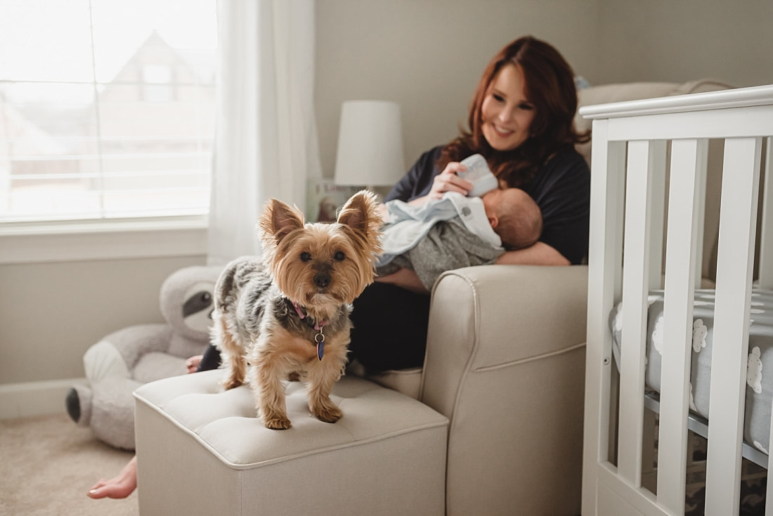 mother feeding newborn baby before newborn baby photo shoot in memphis, tn