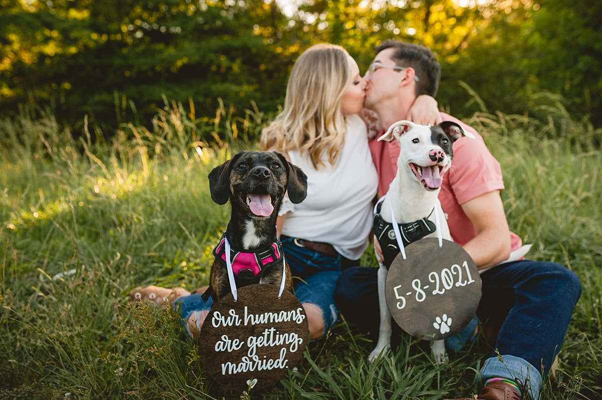 couple posing with their dogs for engagement photos at shelby farms park in memphis, tn