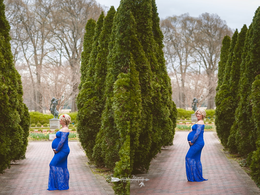 Memphis maternity photography for a rainbow baby at Memphis Botanic Garden by Sarah Morris Photography